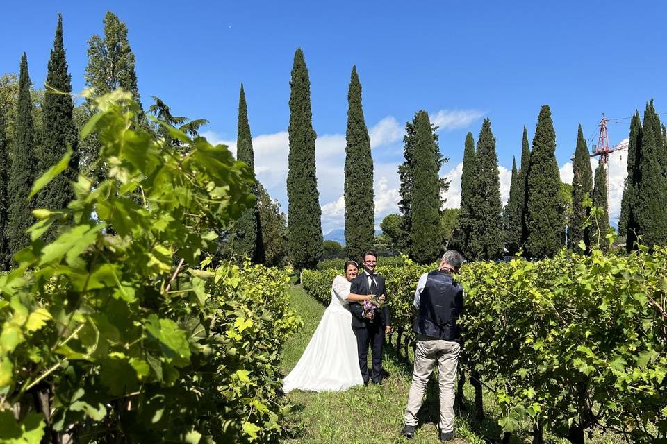 Le Vigne di San Pietro