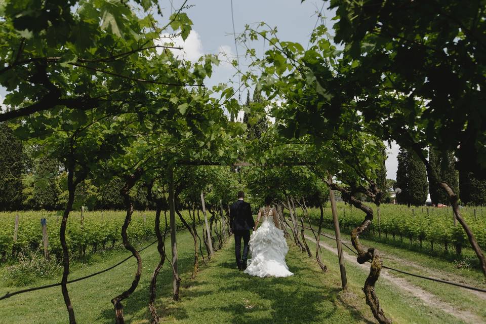 Le Vigne di San Pietro