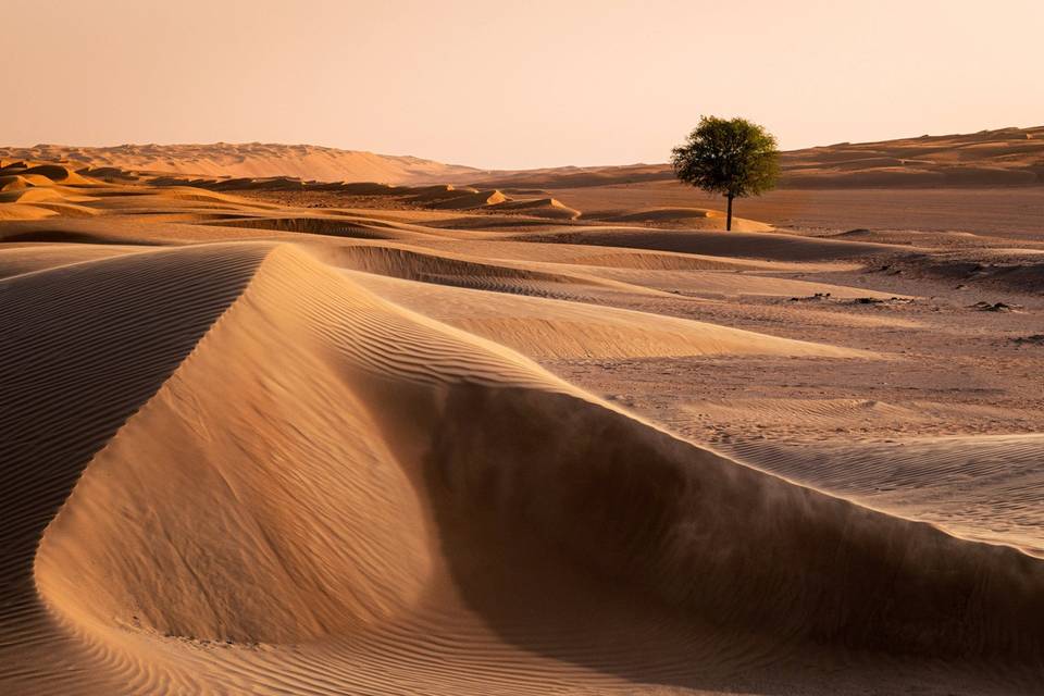Oman, desert