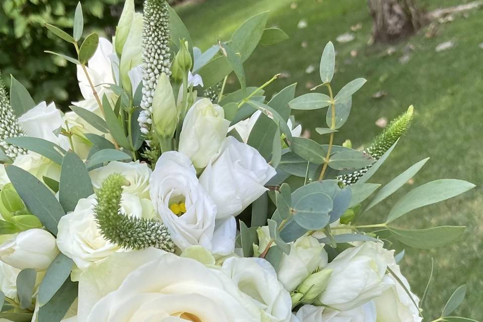 Bouquet