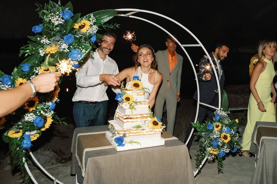 Cutting wedding cake