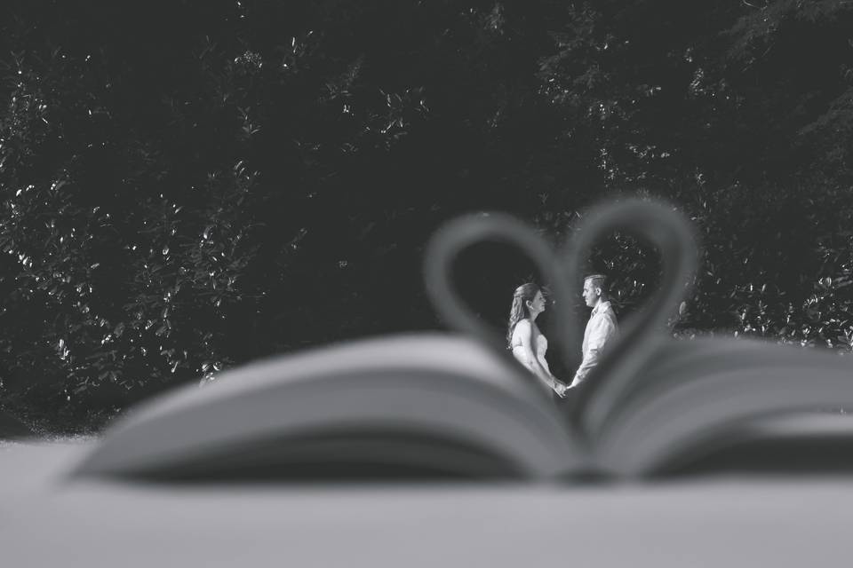 Heart and book
