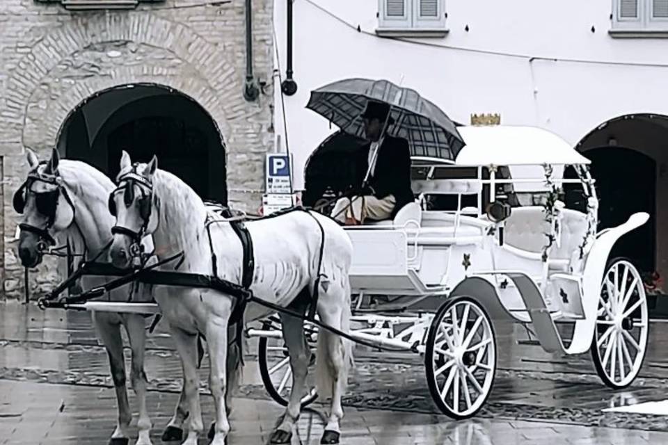 Carrozza