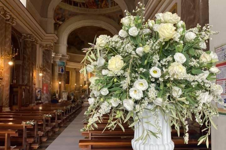 Piante e Fiori Di Franco Anna