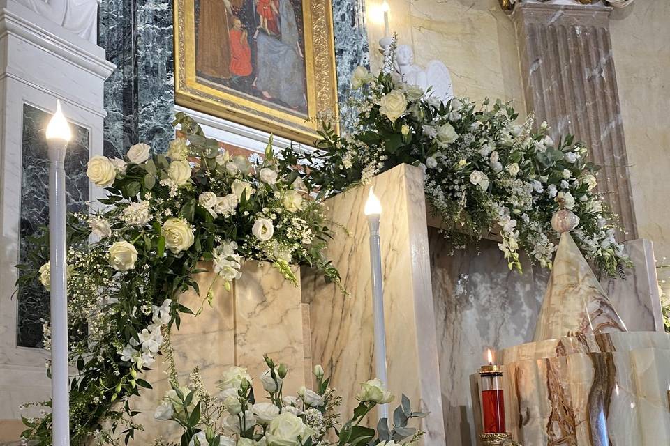 Piante e Fiori Di Franco Anna