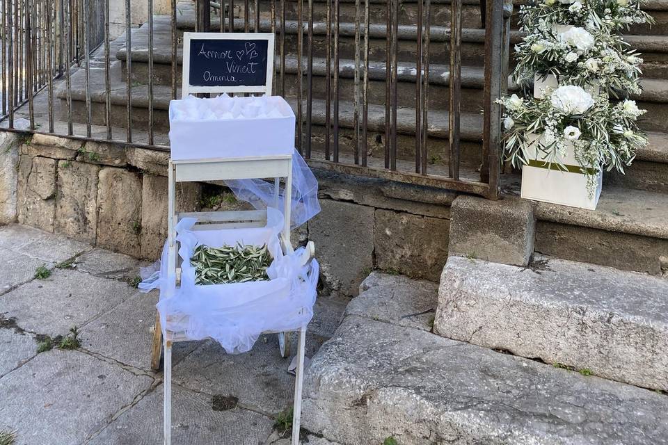 Piante e Fiori Di Franco Anna