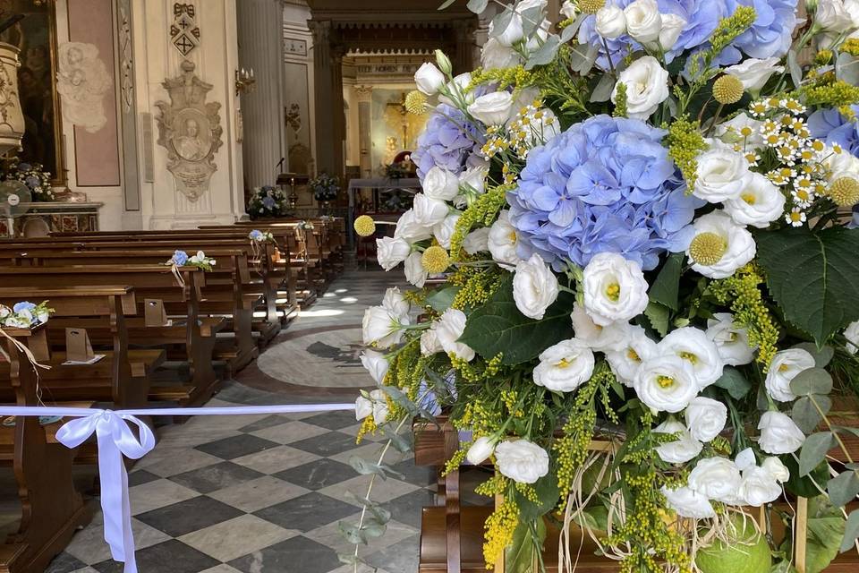 Piante e Fiori Di Franco Anna