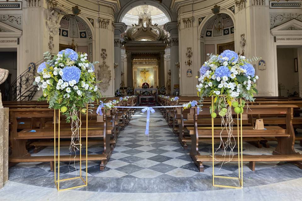 Piante e Fiori Di Franco Anna