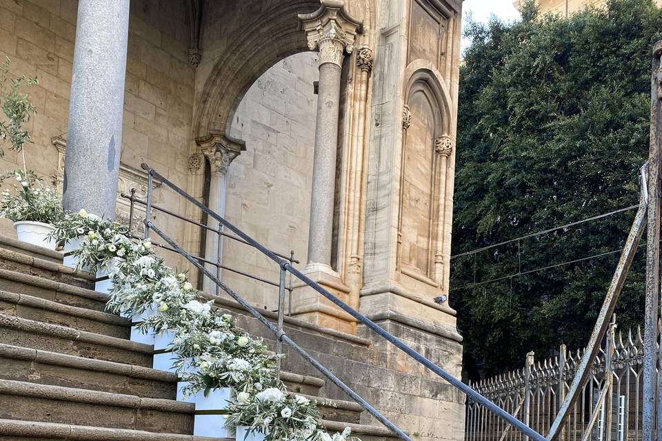 Piante e Fiori Di Franco Anna