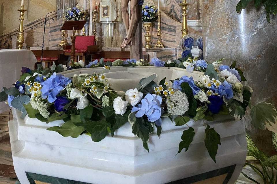 Piante e Fiori Di Franco Anna