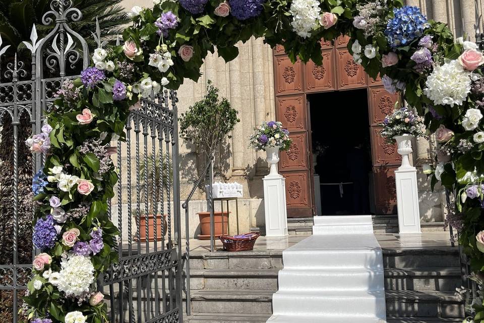 Piante e Fiori Di Franco Anna