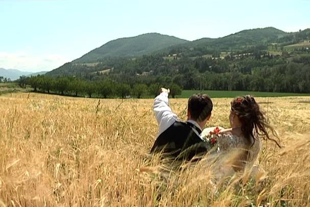 In un campo di grano