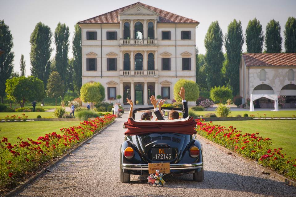 Fiori D'Arancio