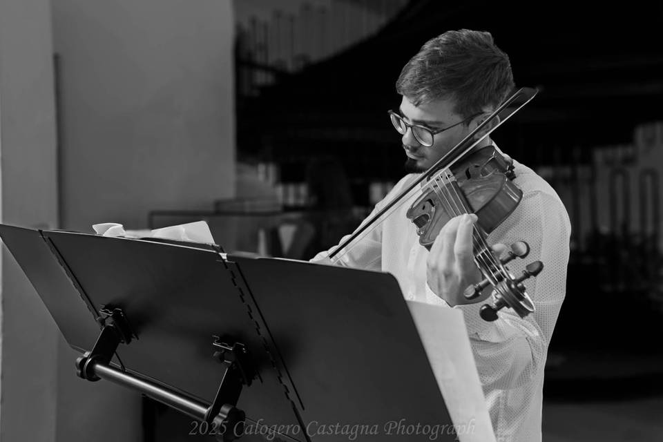 Matteo Arena