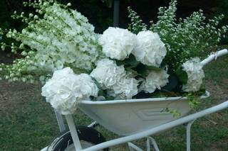 Floramarket 1