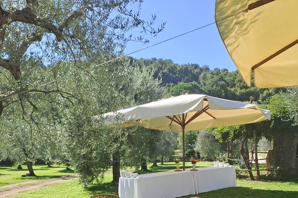 Area Aperitivo/Antipasto