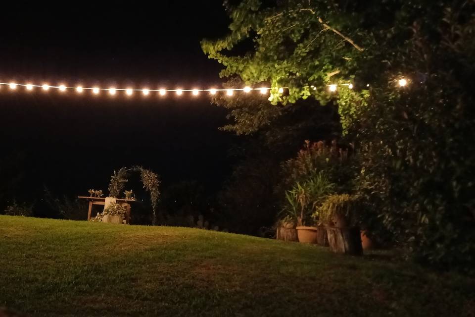 Taglio torta notturno