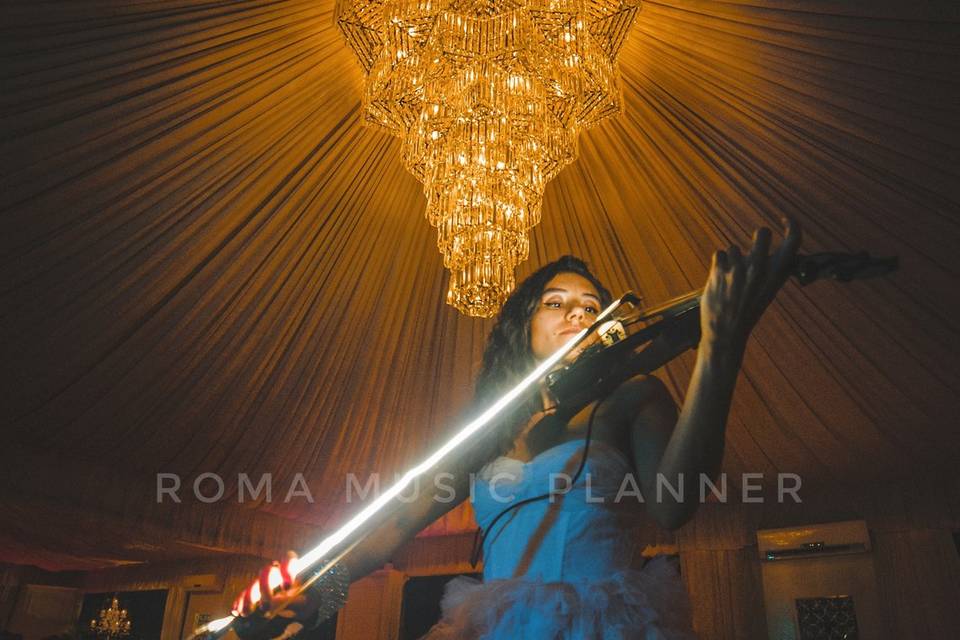 Violino
