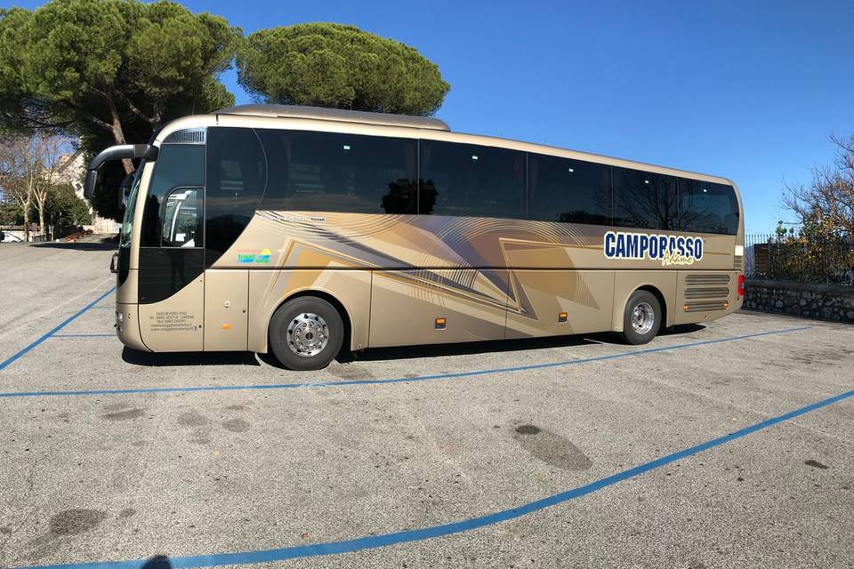 Man Bus