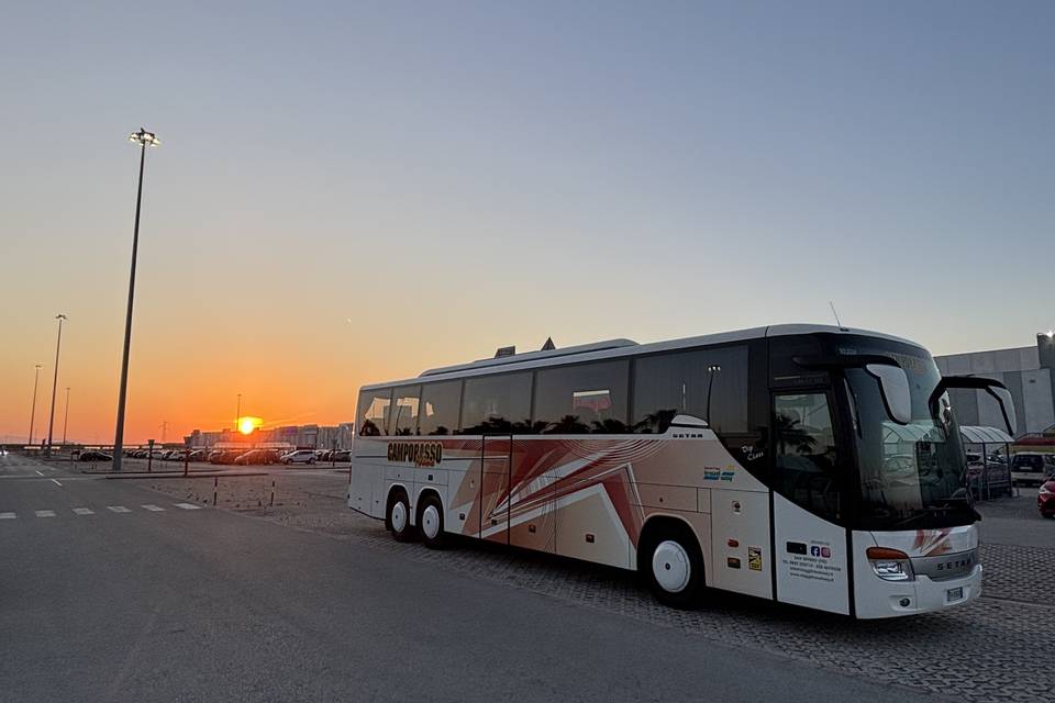 Setra