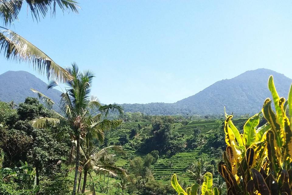 Bali- Indonesia