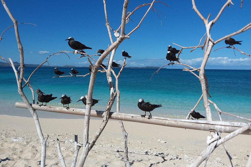 Isola dei coralli - Madagascar