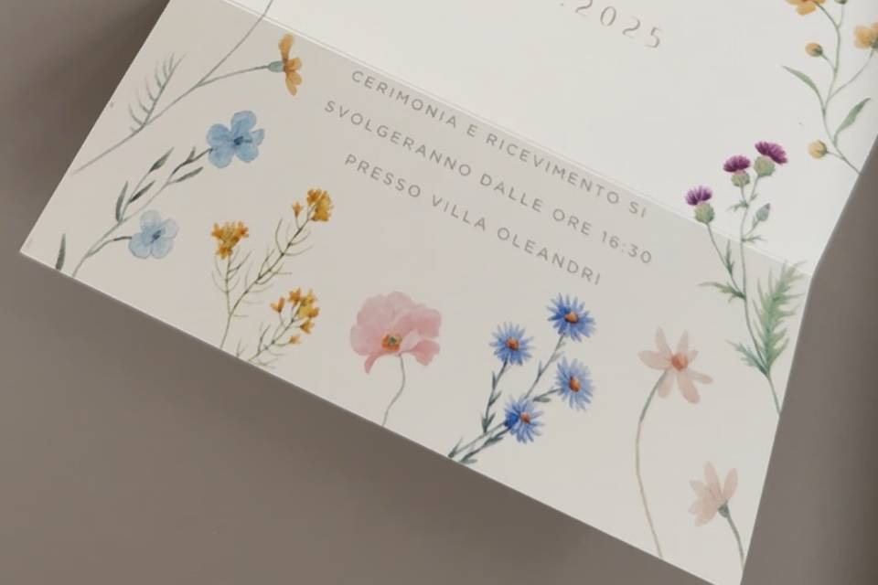 Alma Moments Studio