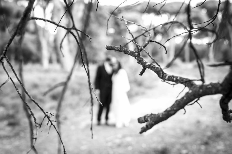 Forest wedding