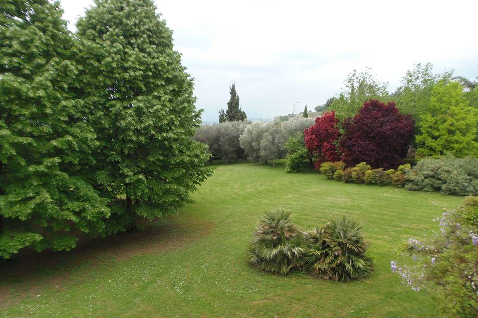 Giardino con Tigli