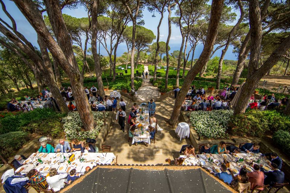 Allestimento pranzo