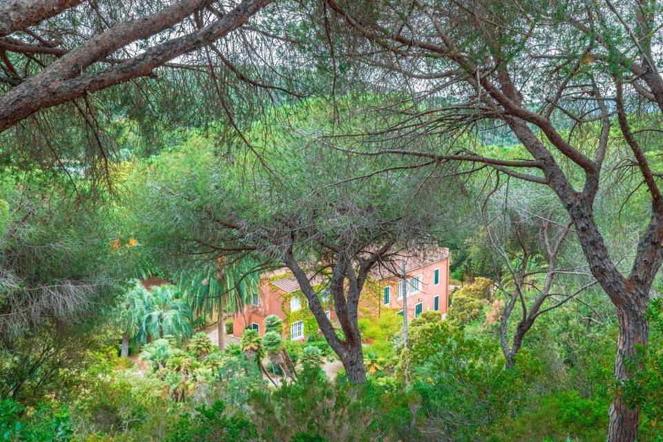 Villa le palme e giardino