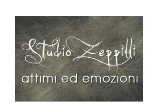 Fmp studio zeppilli