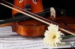 Violino