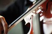 Violino