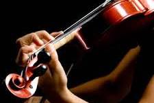 Violino