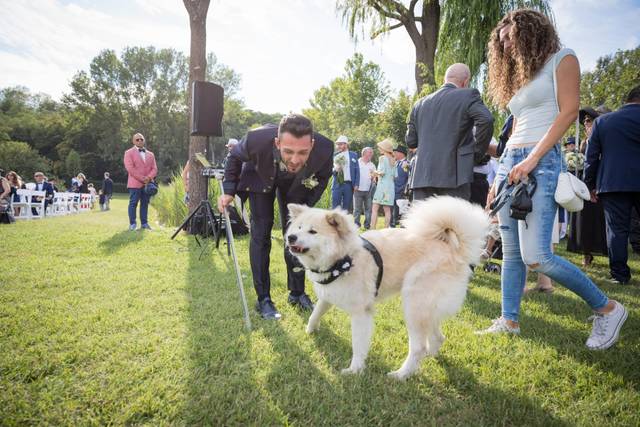 Sara Grecchi - Wedding Dog Sitter