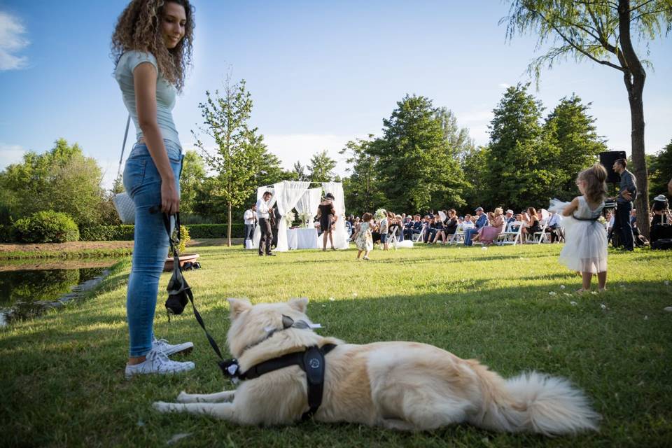 Sara Grecchi - Wedding Dog Sitter