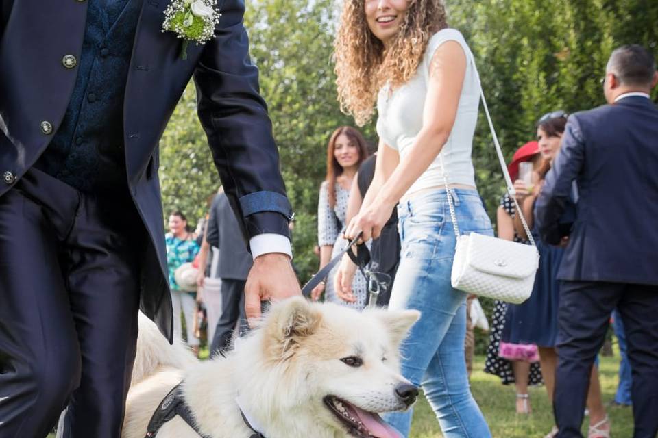 White wedding