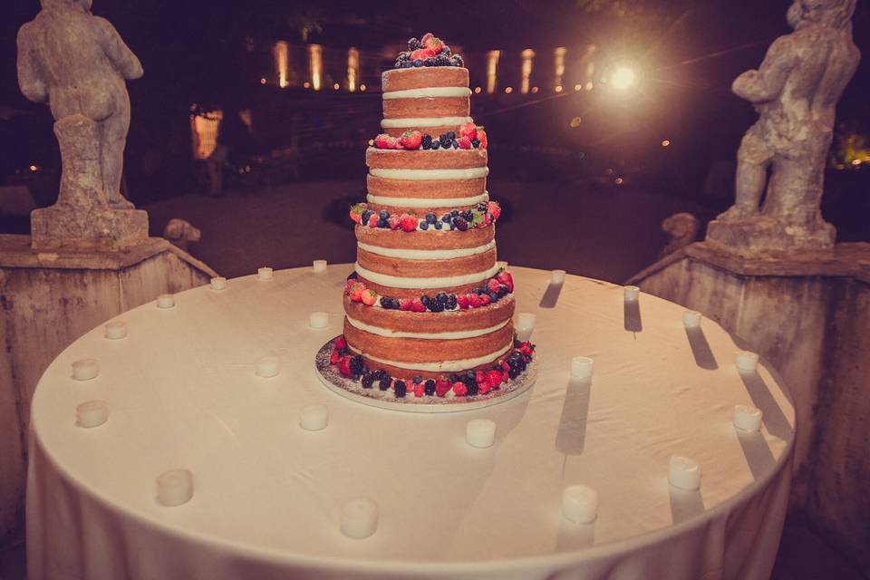 Wedding naked fruits cake