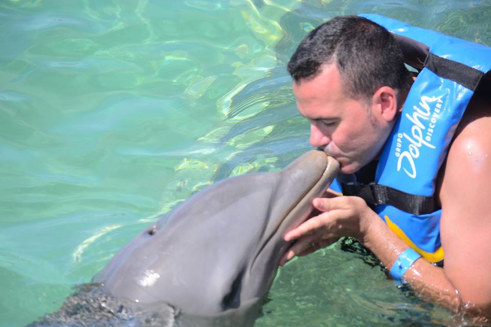 Esperienza con i delfini