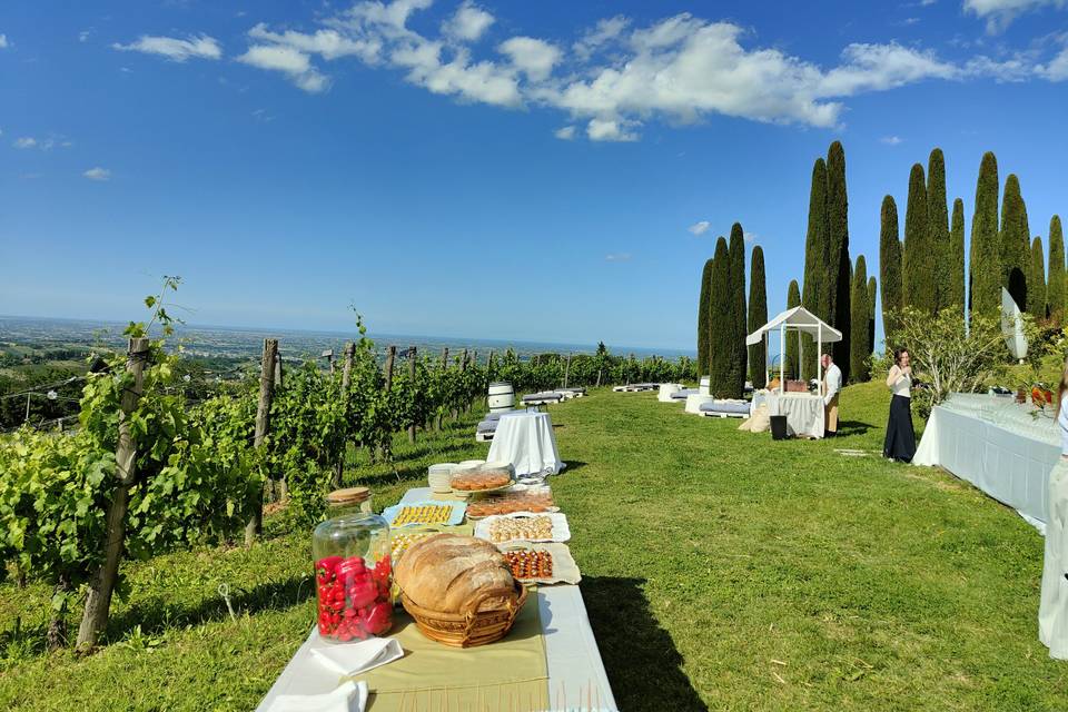 Aperitivo tra filari e cipress