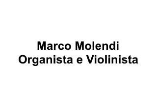 Marco Molendi Organista e Violinistalogo