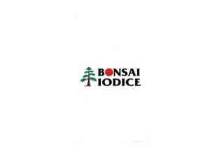 Bonsai Iodice