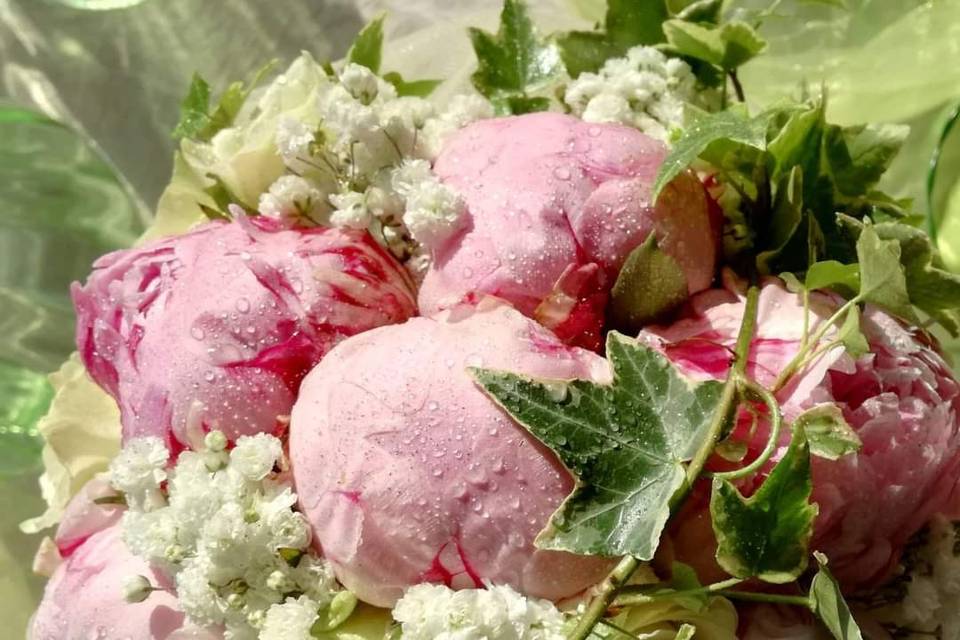 Peonies, rose e fresie