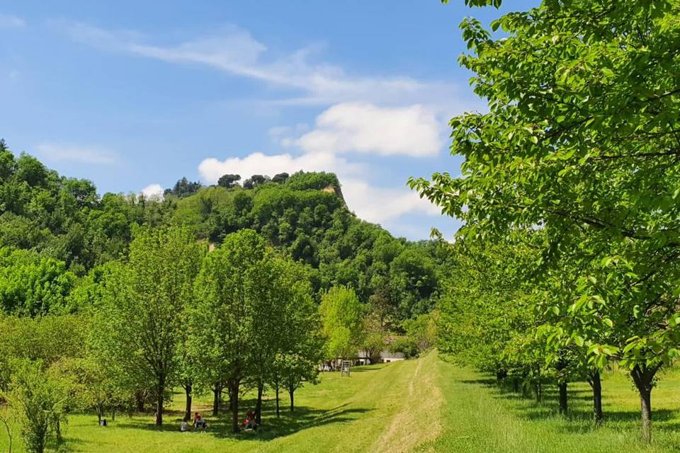 Il paesaggio