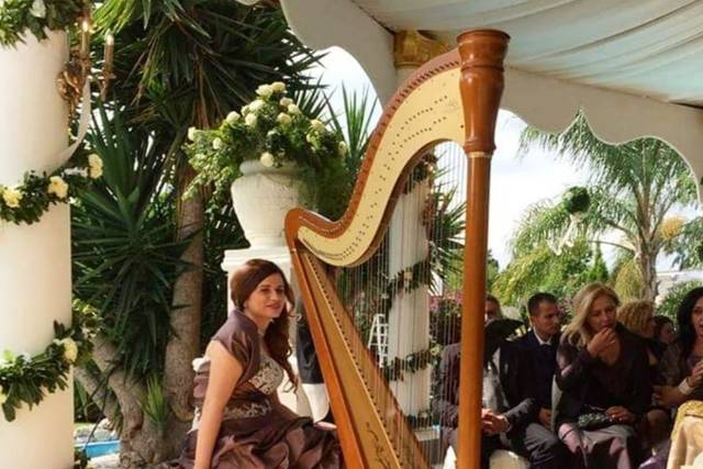 Harp in love
