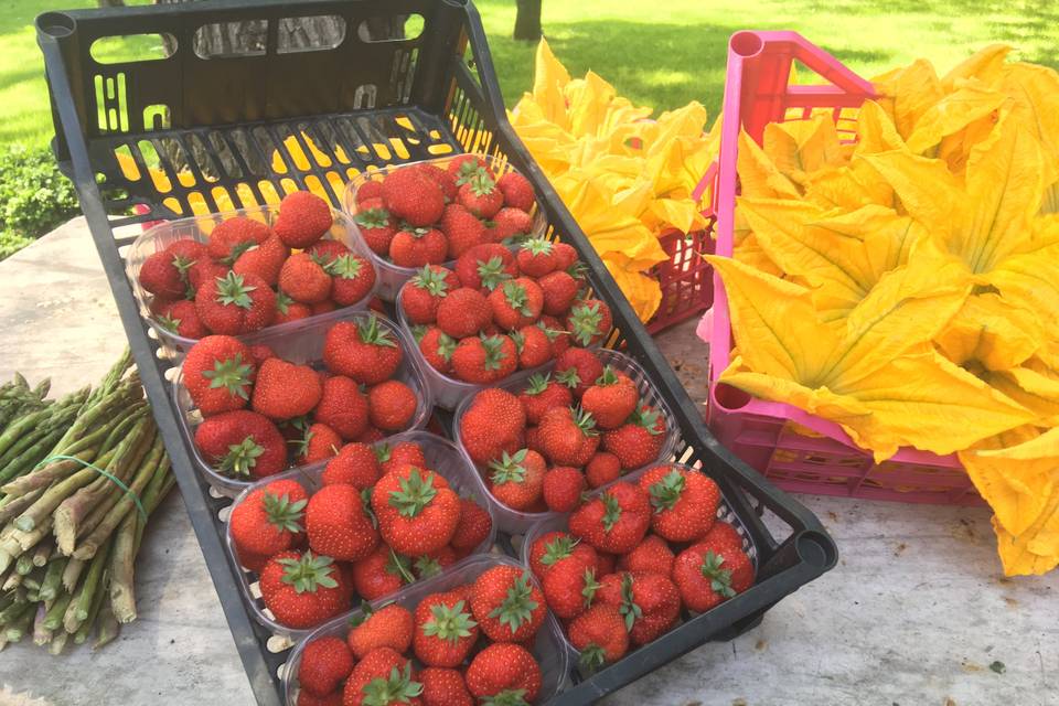 Fiori e fragole dell'orto