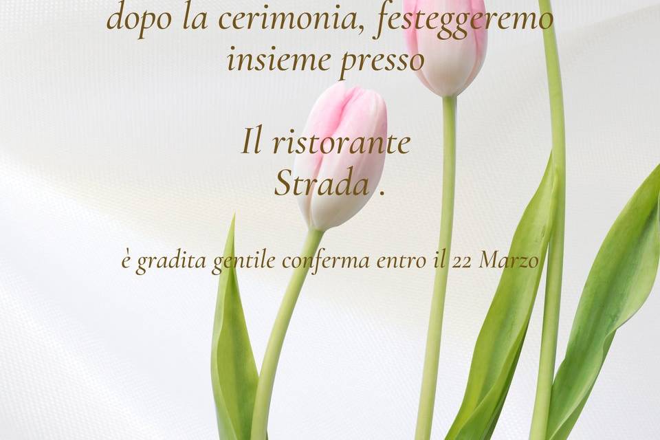 Partecipazione