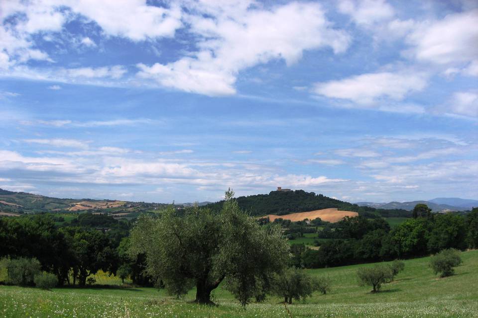 Agriturismo Baia Vallugola 