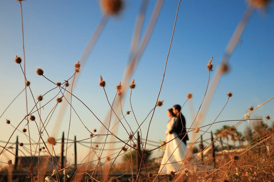 Wedding beach